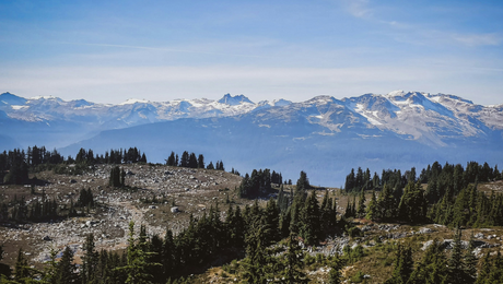 Discovering Whistler's Mountain Biking Paradise: A Guide to the Best Trails