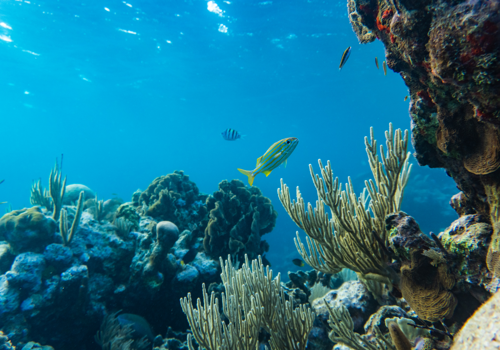 Easy tips for an eco-friendly life