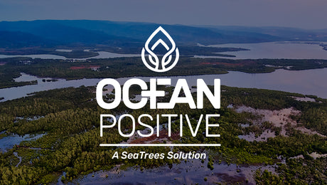 We're Ocean Positive!