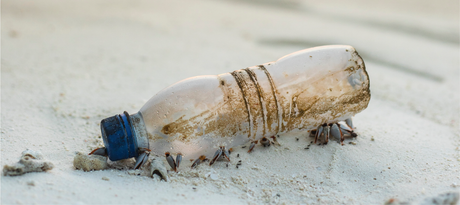 Beach Clean Up