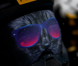 Created by GOGGLESOC APPAREL LIMITED, the bad kitty soc is one of our signature gogglesoc's. The bad kitty soc is available throughout Canada and North America from dedicated stockists or online.
